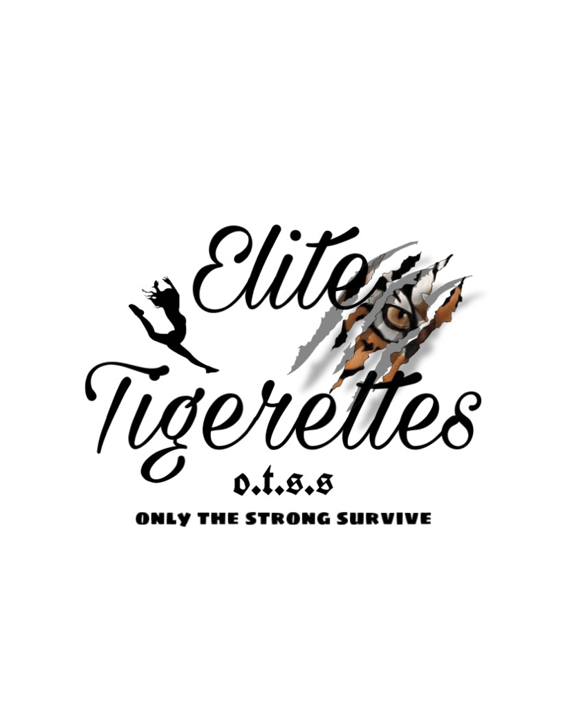 Elite tigerettes 2022-2023 tryouts