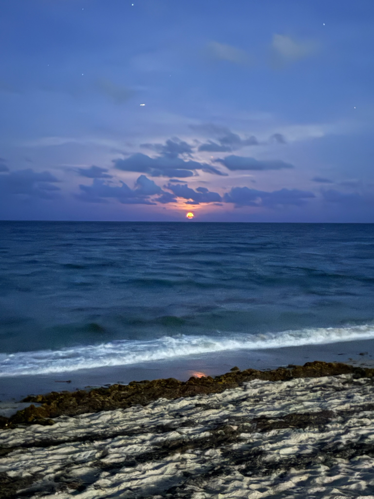 Full Moon Beach Yoga • Fri Aug 28 • 7:30pm -8:45pm